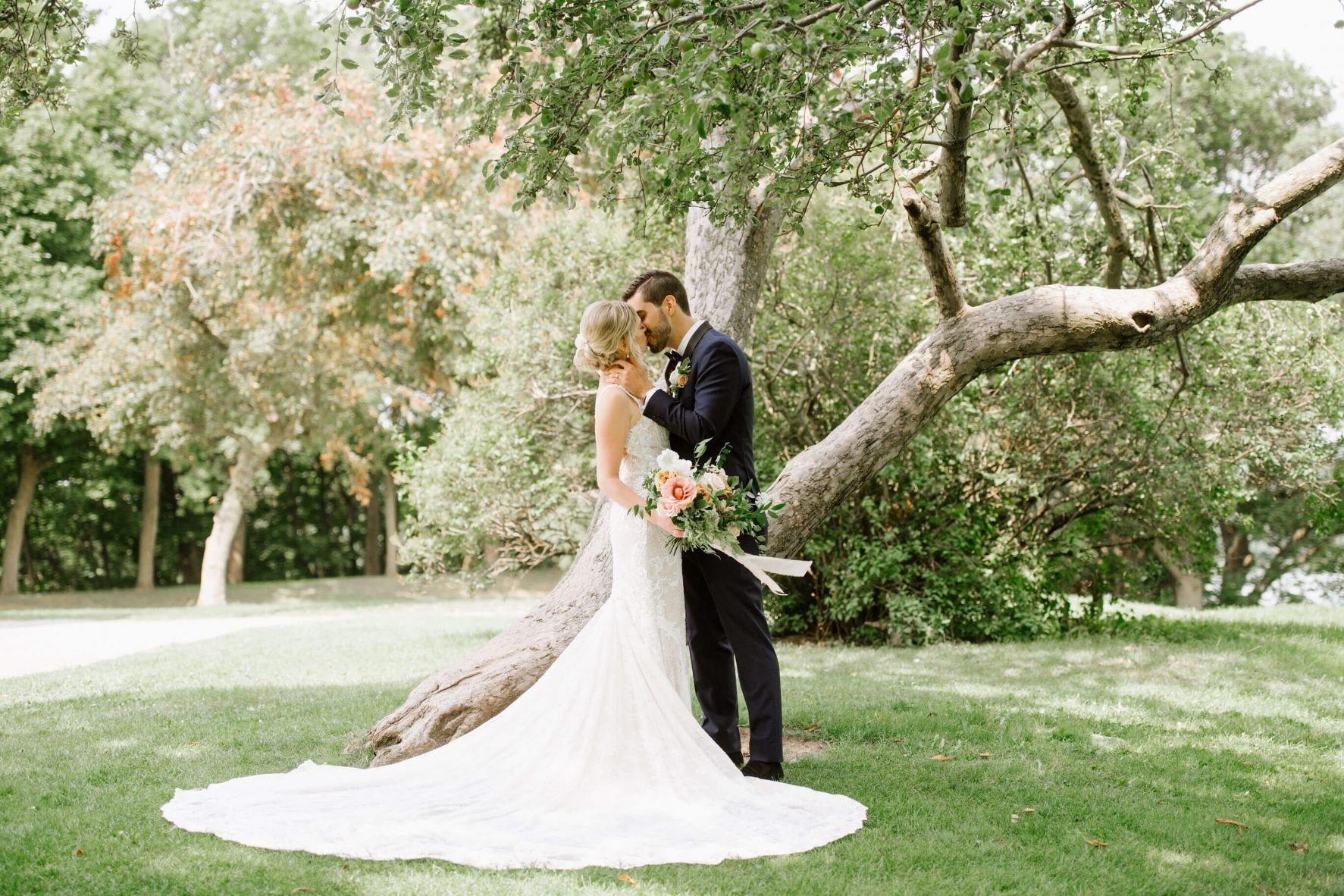 carousel-hero-element image-2